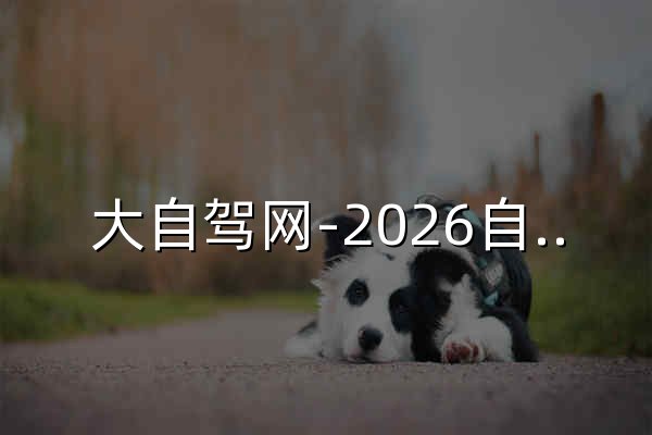 大自驾网-2026自驾游路线推荐/自驾游攻略/自驾游去哪里好玩 - 官网预览