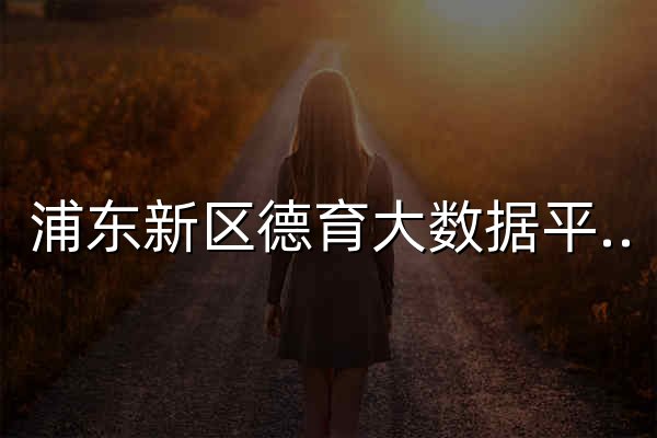 浦东新区德育大数据平台 - 官网预览