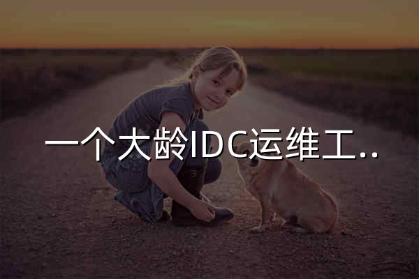 一个大龄IDC运维工程师的文章和资源分享网站-洋洋电脑帮 - 官网预览
