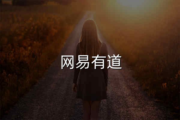 网易有道 - 官网预览