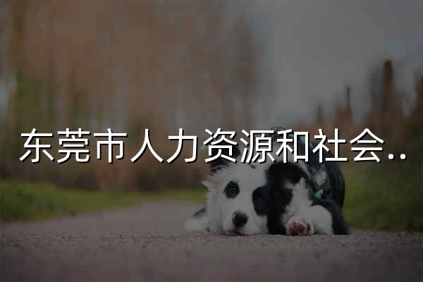 东莞市人力资源和社会保障局网站 - 官网预览