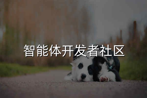 智能体开发者社区 - 官网预览