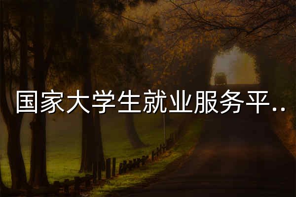 国家大学生就业服务平台 - 官网预览