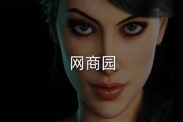 网商园 - 专业网店货源批发分销平台 - 官网预览