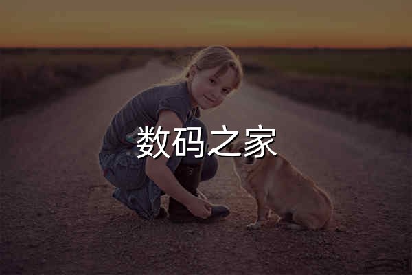 数码之家，我们的数码生活更精彩，智能手机、平板电脑、数码相机、奇趣电子都不可少。 - 官网预览