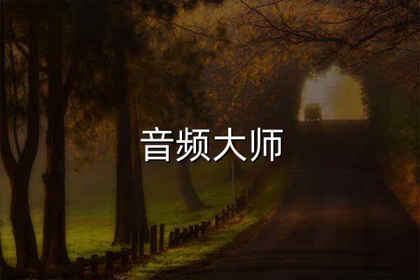 音频大师 - 在线音频转换与编辑工具 - 官网预览