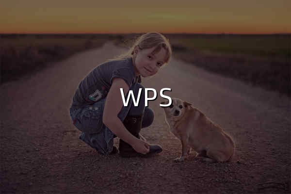 WPS PDF-轻巧简洁、高效转换、自由编辑-WPS官方网站 - 官网预览