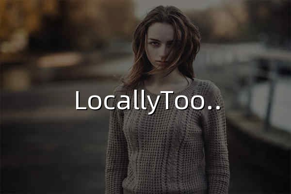 LocallyTools - 安全免费的离线工具箱 - 官网预览