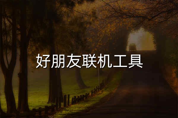 好朋友联机工具 - 免费异地组网联机工具，快速、简洁、方便与朋友异地联机游戏！超简单的虚拟局域网！ - 官网预览