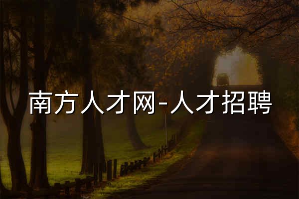 南方人才网-人才招聘,求职找工作,猎头服务,job168市场招聘网 - 官网预览