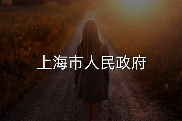上海市人民政府 - 官网预览