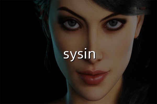 sysin | SYStem INside - 官网预览