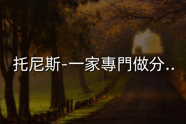 托尼斯-一家專門做分銷的網站，一件代發，上托尼斯 - 官网预览