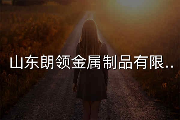 山东朗领金属制品有限公司 - 官网预览