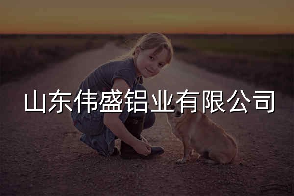 山东伟盛铝业有限公司 - 官网预览