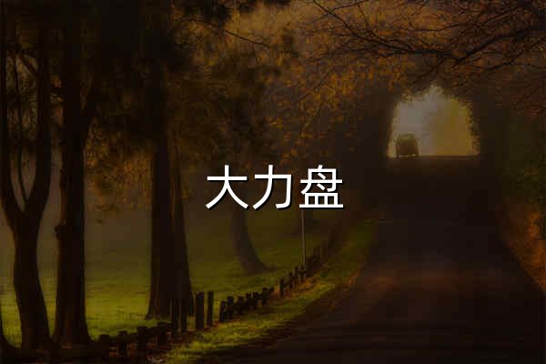 大力盘 - 网盘搜索引擎 - 官网预览