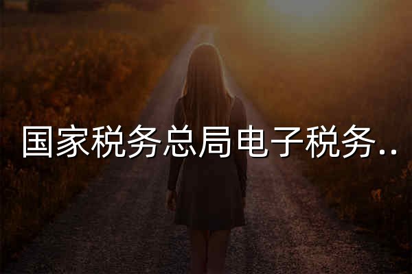 国家税务总局电子税务局 - 官网预览