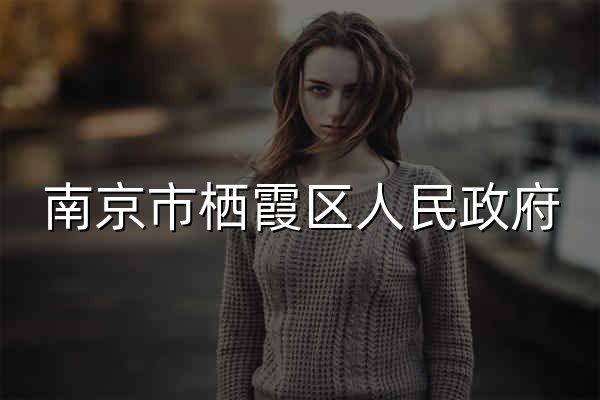 南京市栖霞区人民政府 - 官网预览