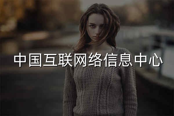 中国互联网络信息中心 - 官网预览
