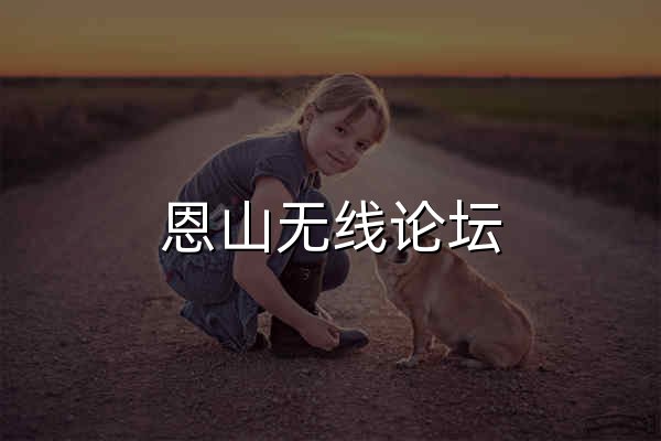 恩山无线论坛 - Powered by Discuz! - 官网预览