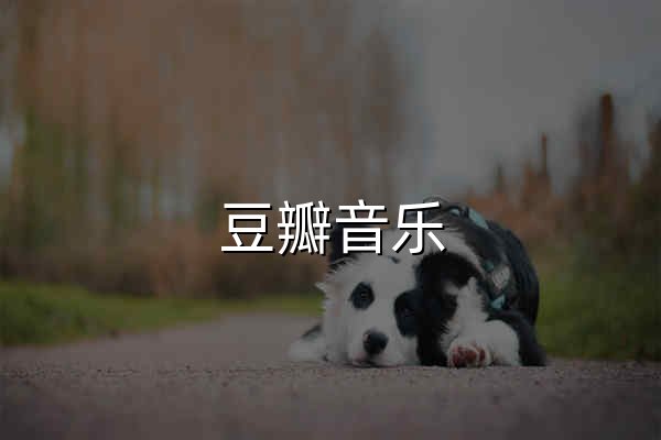 豆瓣音乐 - 官网预览
