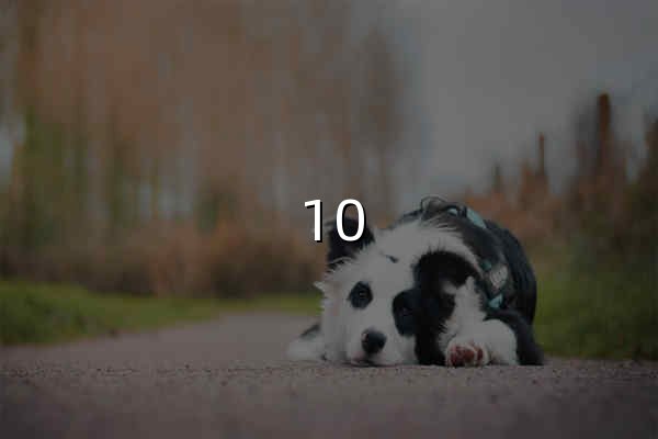 10 minute mail - Free Temporary Disposable Email - 官网预览