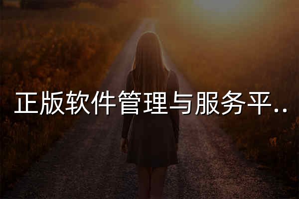 正版软件管理与服务平台(燕山大学) - 官网预览