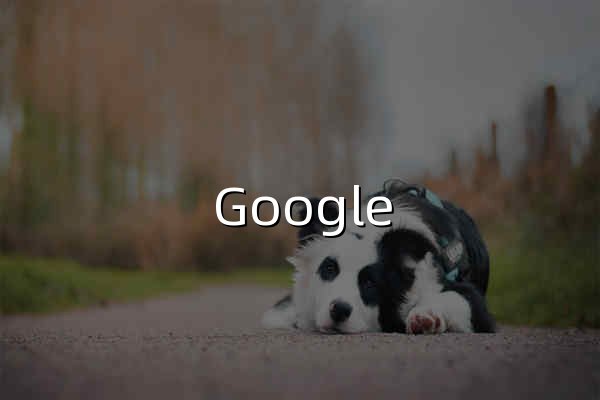Google 地图 - 官网预览