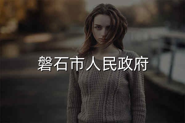 磐石市人民政府 - 官网预览