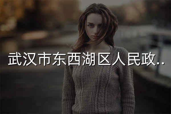 武汉市东西湖区人民政府-武汉临空港经济技术开发区管委会 - 官网预览