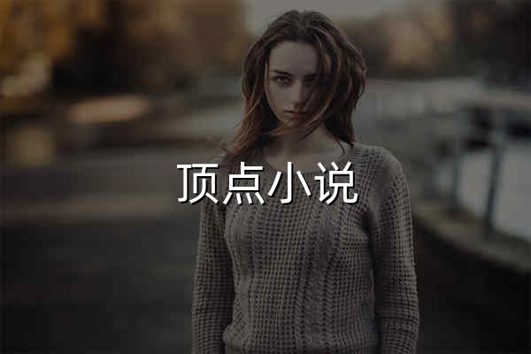 顶点小说 - 中文免费小说阅读网 - 官网预览