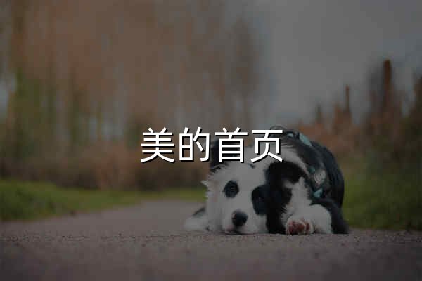 美的首页 - 官网预览