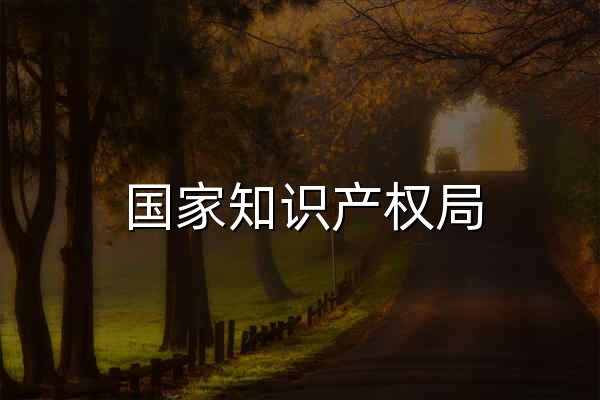 国家知识产权局 - 官网预览