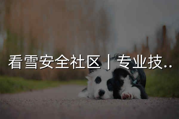 看雪安全社区｜专业技术交流与安全研究论坛 - 官网预览