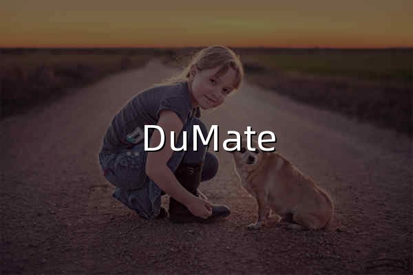 DuMate - 官网预览