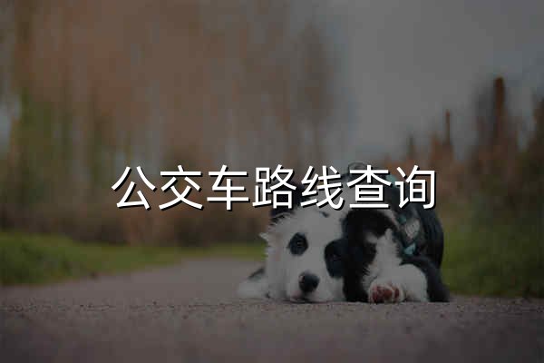 公交车路线查询 | 自驾线路查询 | 汽车车次查询 - 租租车 - 官网预览