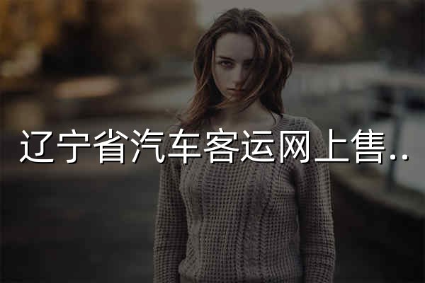 辽宁省汽车客运网上售票系统 - 官网预览