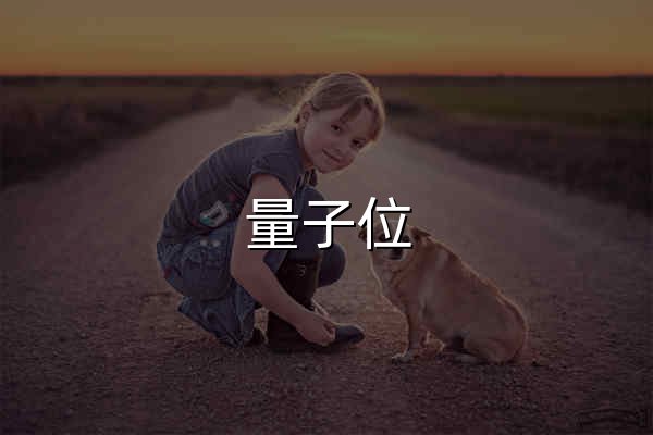 量子位 – 追踪人工智能新趋势，报道科技行业新突破 - 官网预览