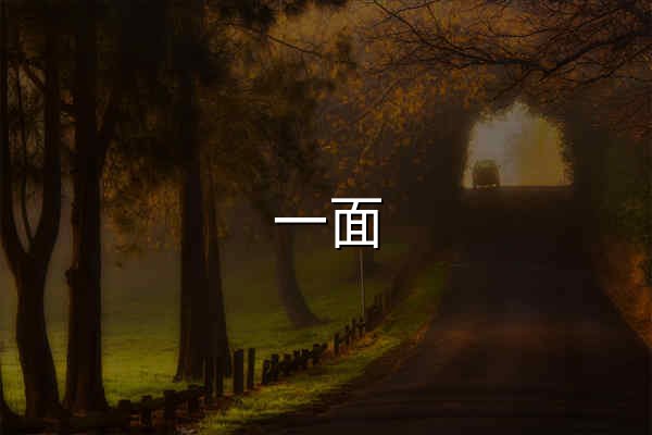 一面 · 匿名聊天 — 和陌生人,见一面 | 无需注册的在线匿名聊天网站 - 官网预览