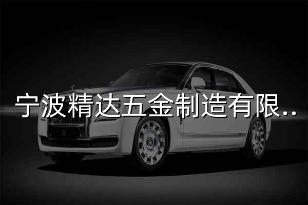 宁波精达五金制造有限公司 - 官网预览