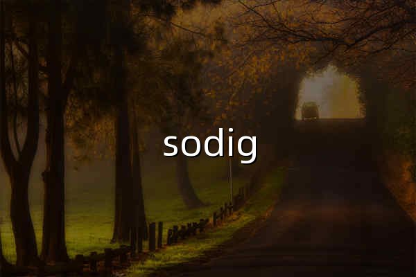 sodig - 网址目录（收录 901,631 个网站） - 官网预览
