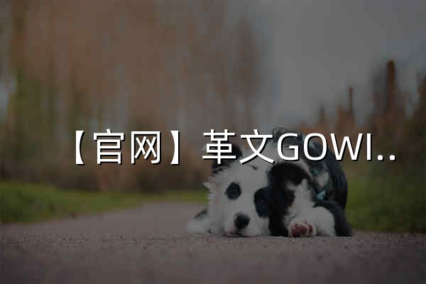 【官网】革文GOWIN 中国B2B品牌全案服务领导者 - 官网预览