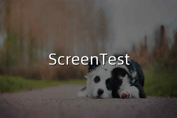 ScreenTest - 在线屏幕测试、纯色显示、屏保效果 - 官网预览