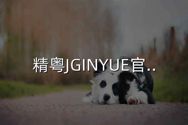 精粤JGINYUE官网 - 官网预览