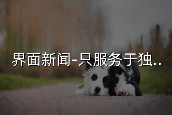 界面新闻-只服务于独立思考的人群-Jiemian.com - 官网预览