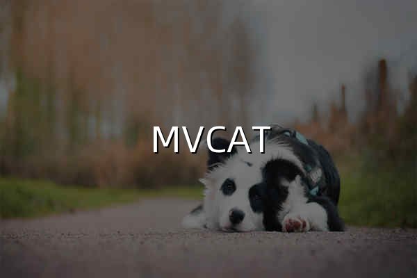 MVCAT - 官网预览