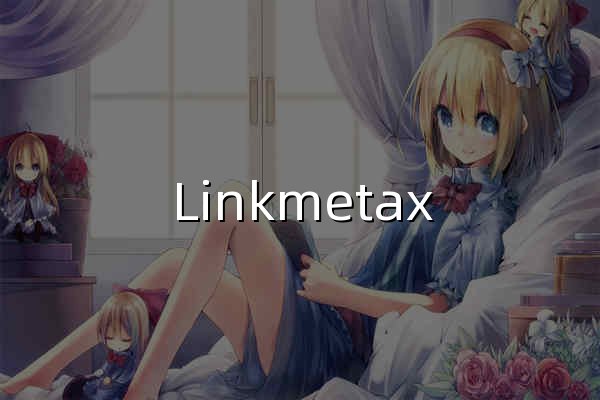 Linkmetax 元空间科技 - Microsoft · Adobe · 卡巴斯基正版授权 · AI 工作站 - 官网预览