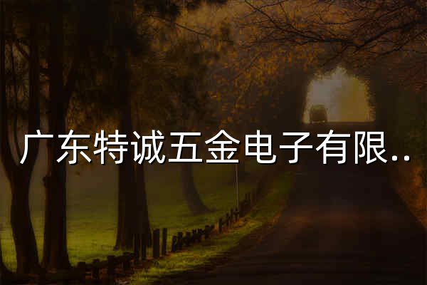 广东特诚五金电子有限公司 - 官网预览