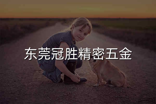 东莞冠胜精密五金 - 官网预览