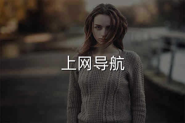 上网导航 - 轻快上网 从这里开始 - 官网预览